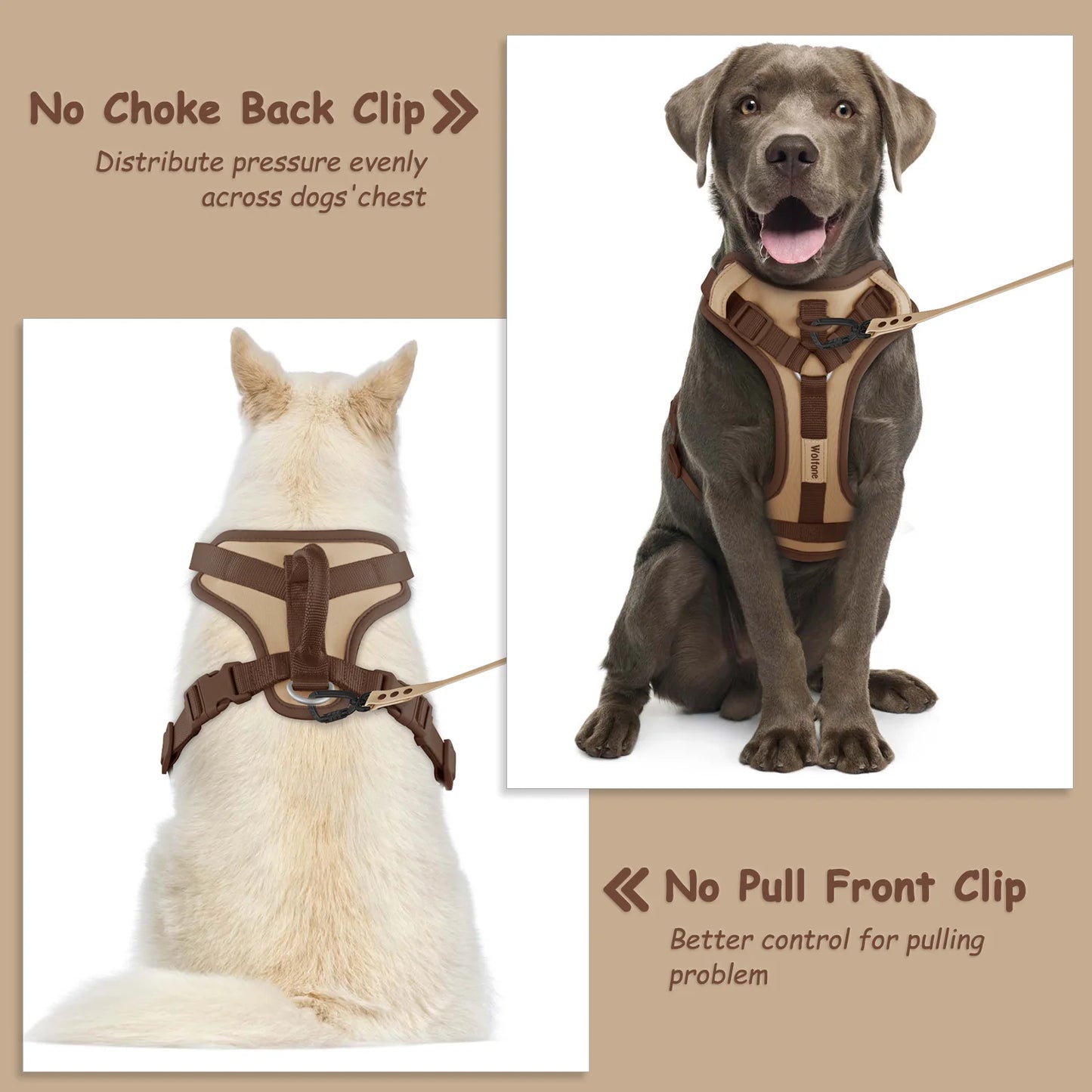 Harnais de Luxe Couleur Chocolat Anti-Traction pour Chien - Personnalisé