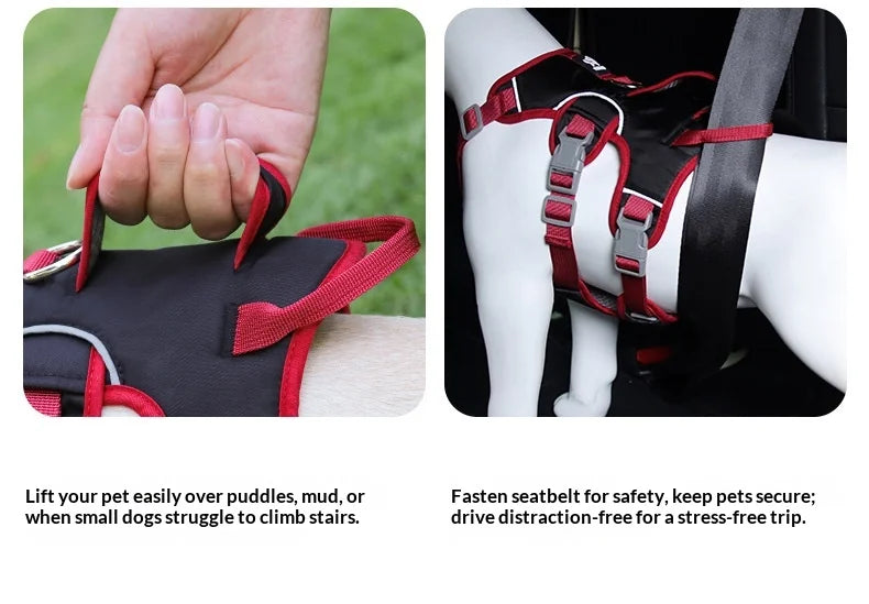 Harnais Anti-Évasion 3 Sections pour Grand Chien - Style Gilet