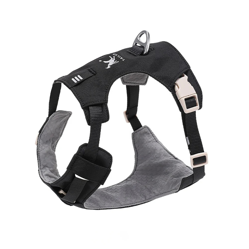 Harnais et Laisse Légers Anti-Traction pour Chien - Toutes Tailles