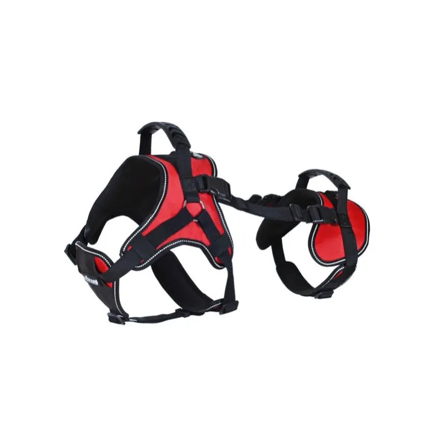 Harnais de Levage avec Sangles pour Pattes Arrière - Marche et Voyage
