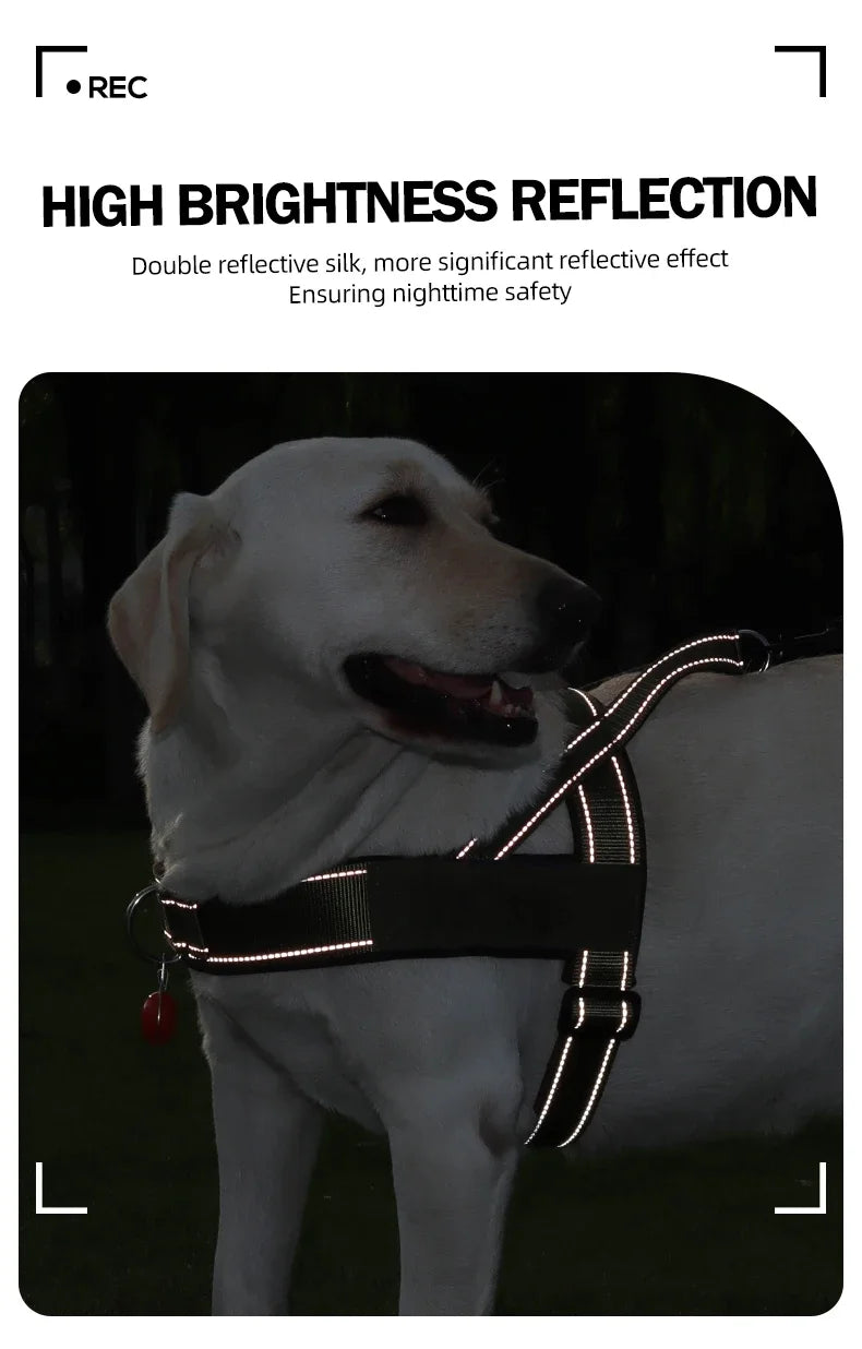 Harnais Gilet de Selle Léger et Réfléchissant pour Chien