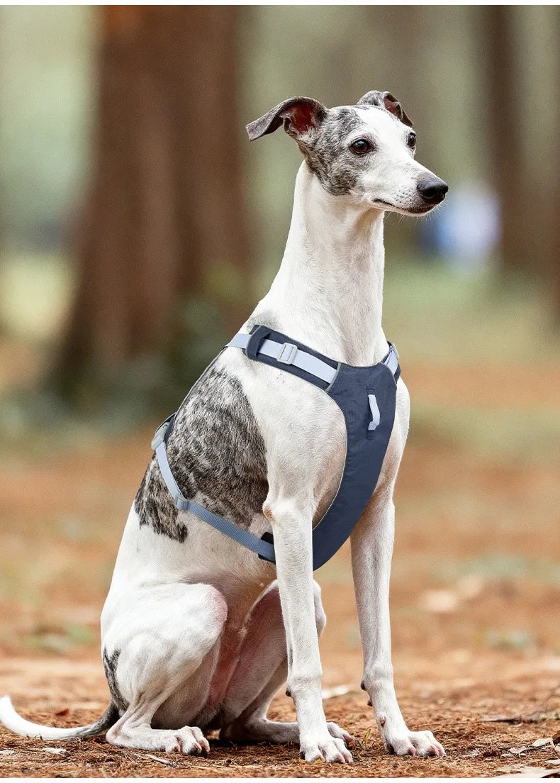 Harnais Léger Réfléchissant pour Chien et Chat - Sans Traction
