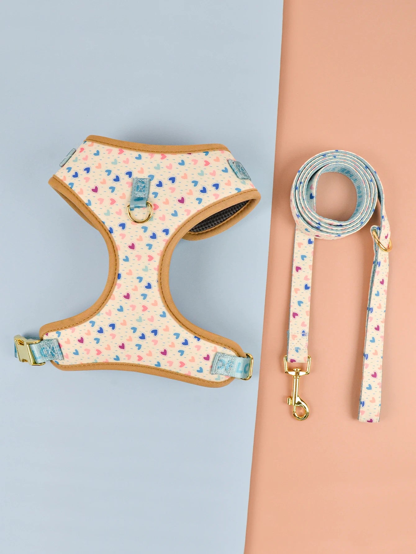 Harnais de Luxe Cadeau pour Chien - Design Mignon, avec Laisse