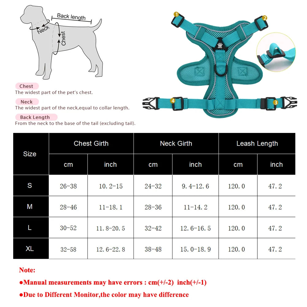 Ensemble Harnais et Laisse pour Petit Chien - Réfléchissant