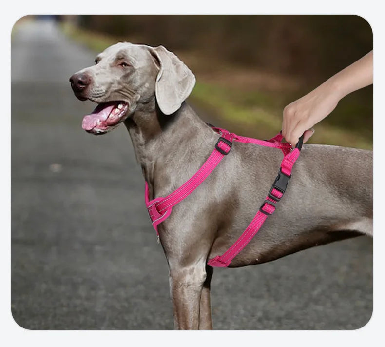 Harnais Forme I Anti-Évasion pour Chien - Enfilage Rapide