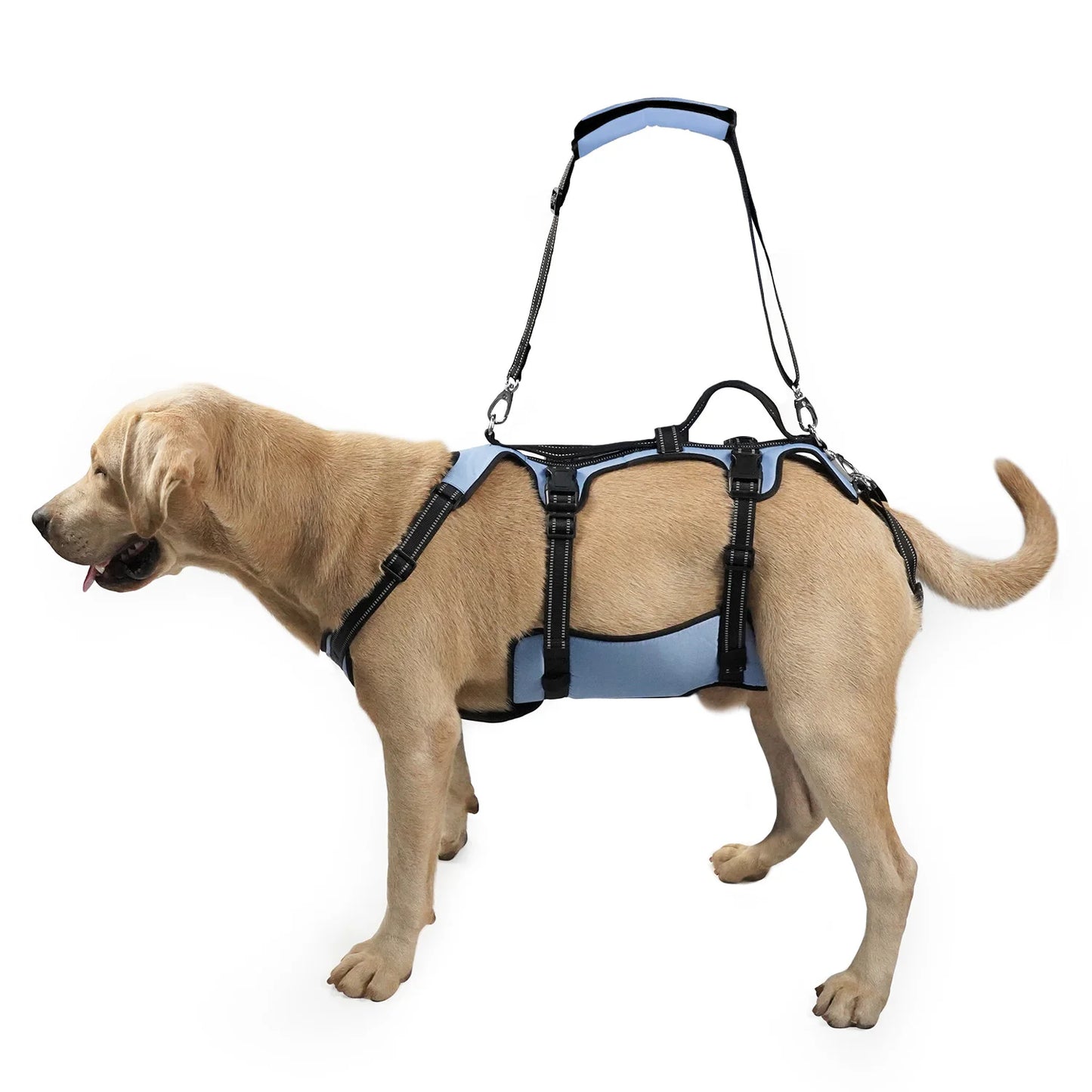 Harnais de Levage COODEO pour Chien - Rééducation, Sangles Réglables