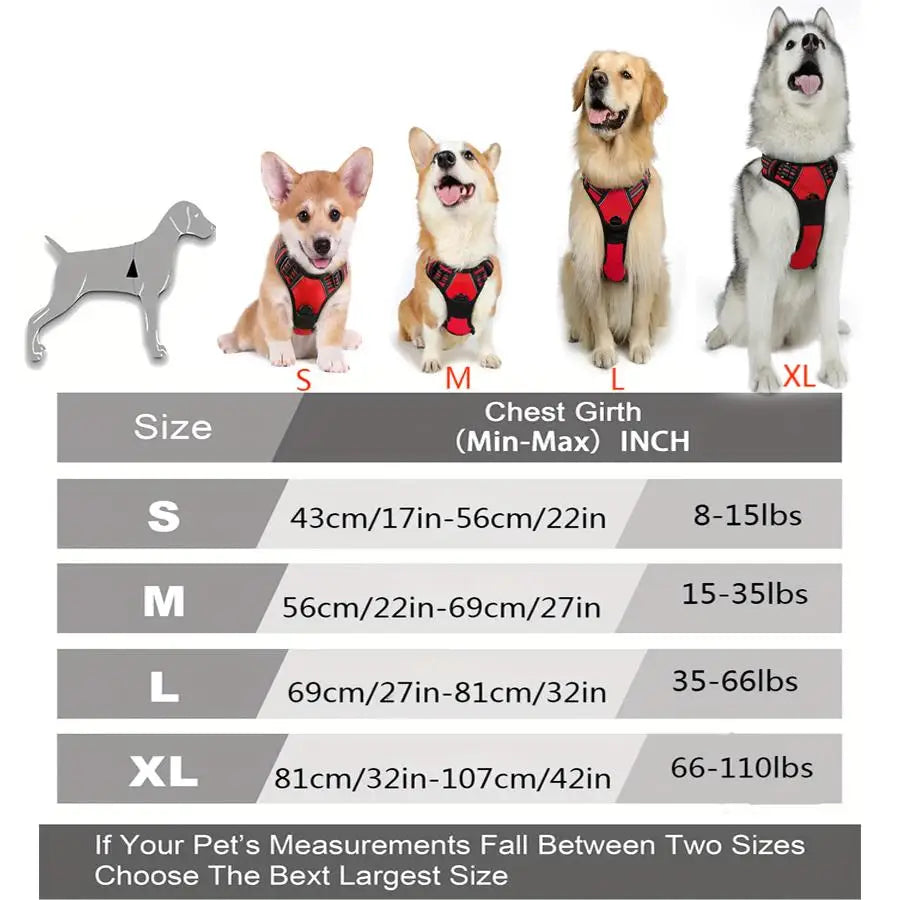 Harnais Anti-Traction Clip Frontal pour Grand Chien - Poignée