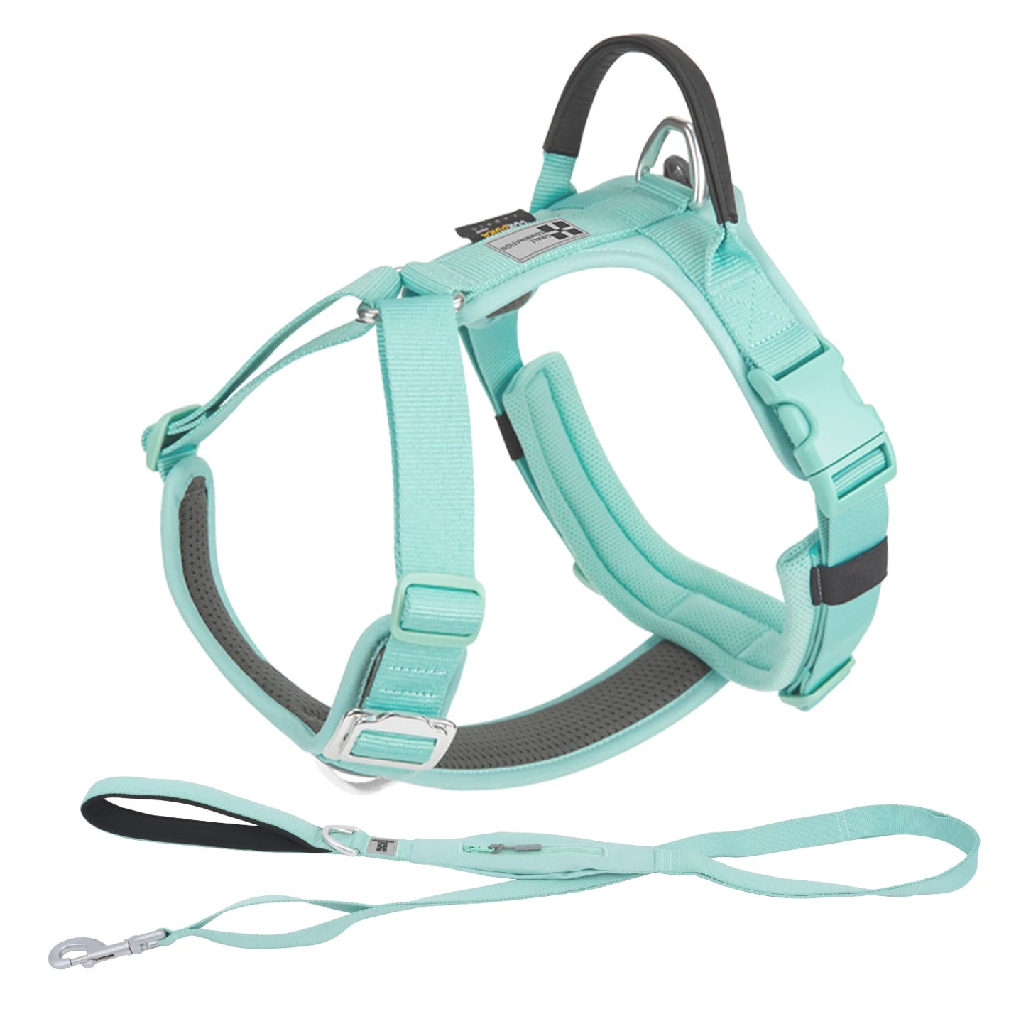 Ensemble Harnais et Laisse Anti-Traction pour Grand Chien