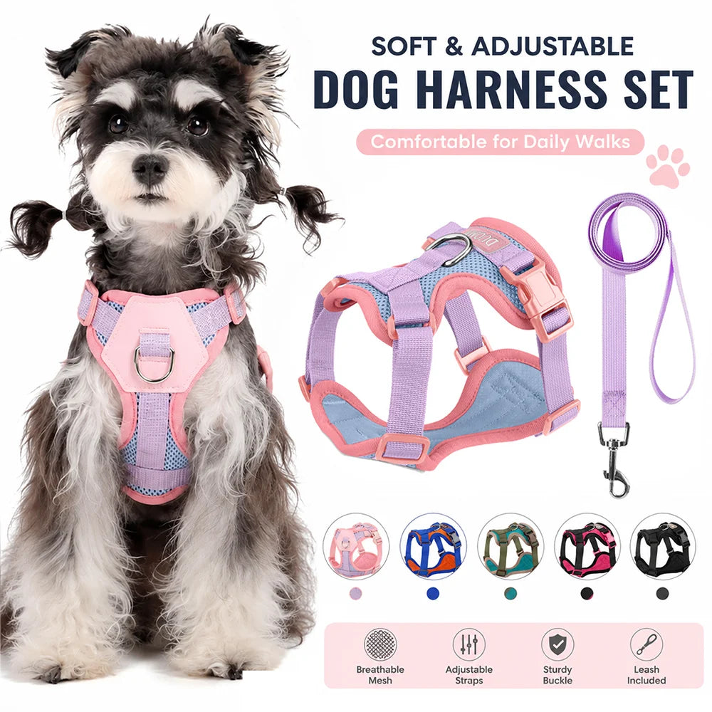 Ensemble Harnais et Laisse pour Chiot - Confortable et Réglable