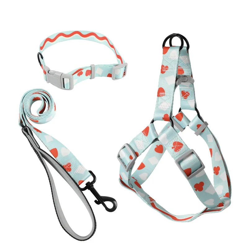 Ensemble Harnais, Laisse et Collier Trois Pièces pour Chien