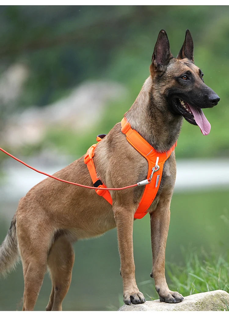 Harnais Anti-Traction en Nylon Réfléchissant pour Chien - Course
