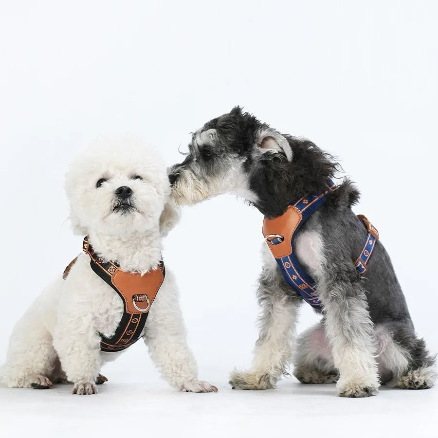 Harnais de Poitrine Respirant et Réfléchissant pour Petit et Moyen Chien