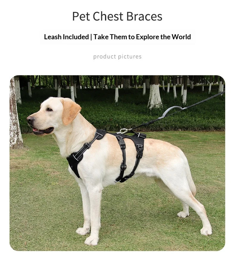 Harnais Anti-Évasion Grand Chien - Laisse Oxford Incluse