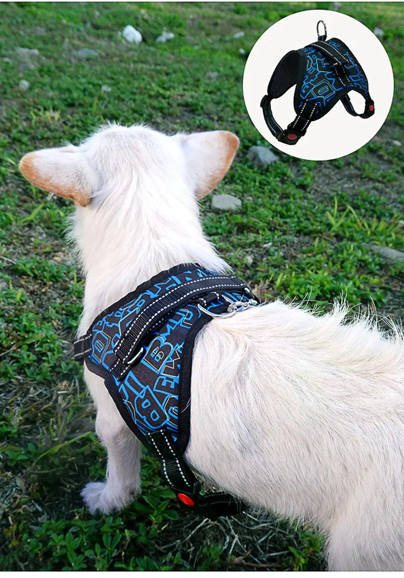 Harnais Nylon Robuste pour Chien - Réglable, Extra Large