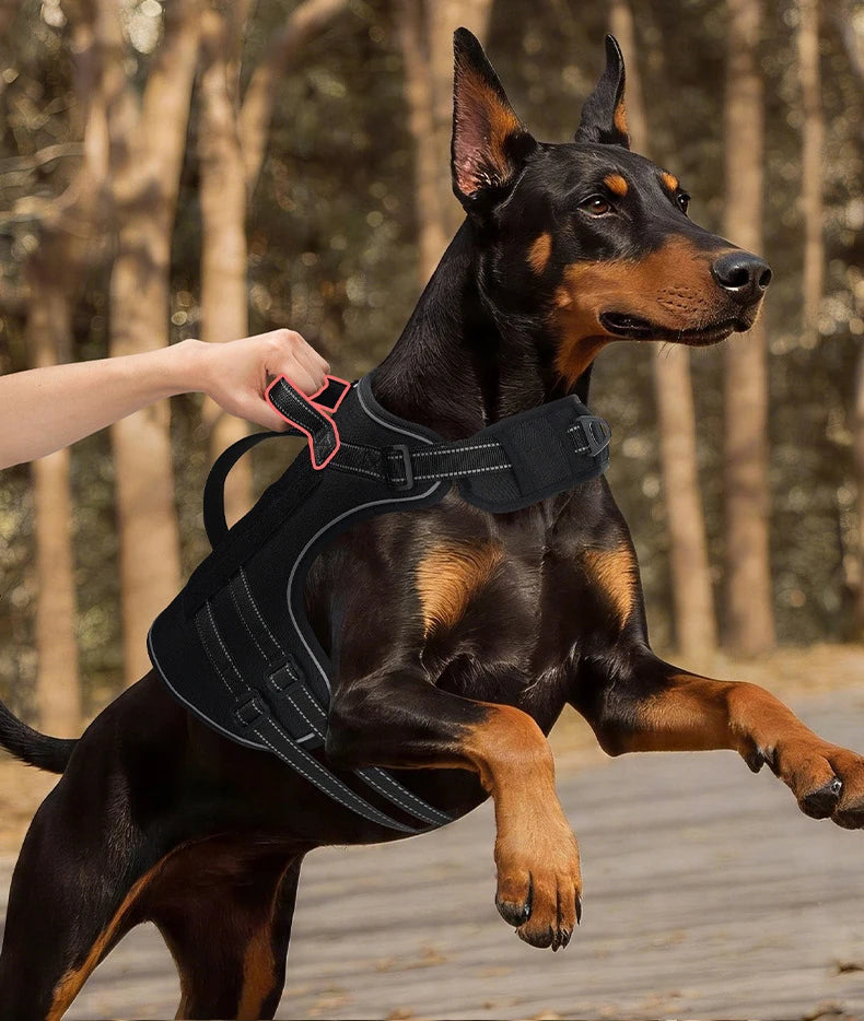 Harnais Tactique 3D Anti-Traction pour Chien Moyen/Grand - Réfléchissant