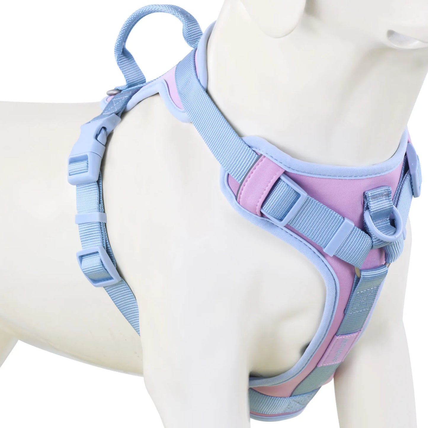 Harnais Personnalisable Anti-Traction pour Chien - Contrasté