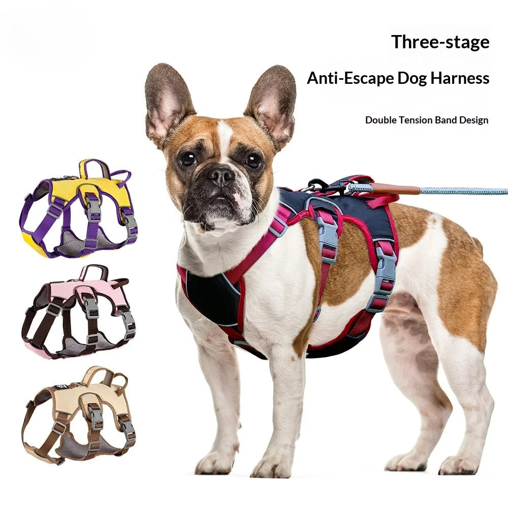 Harnais Anti-Évasion 3 Sections pour Grand Chien - avec Laisse