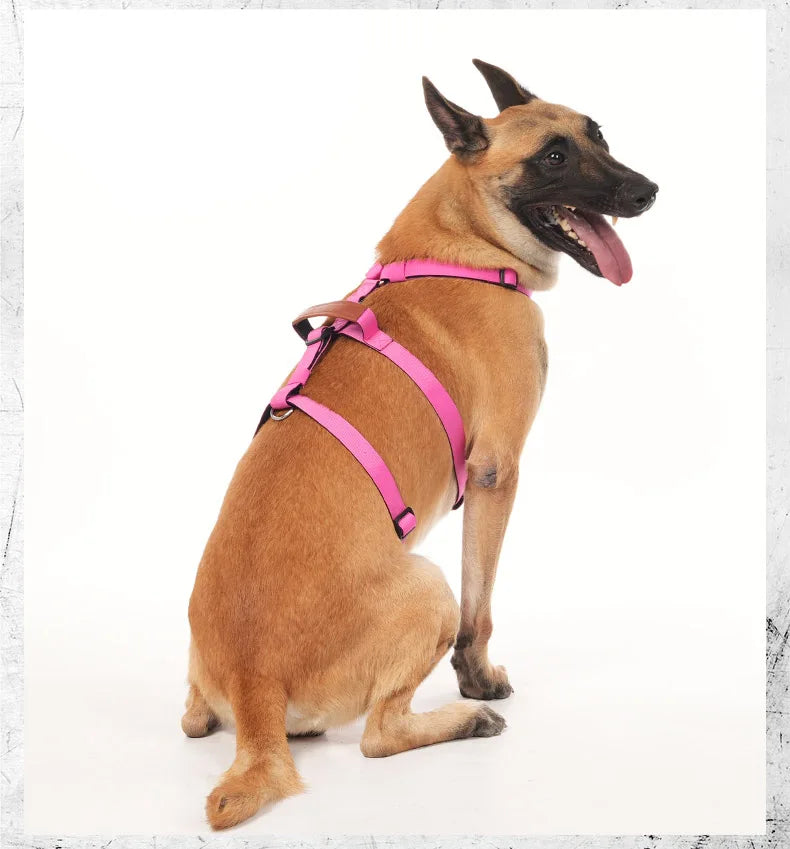 Harnais Anti-Fuite en Nylon avec Poignée pour Golden Retriever, Husky