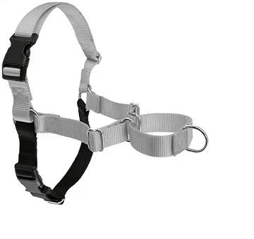 Harnais Anti-Rupture en Nylon Solide pour Chien Moyen/Grand - Husky
