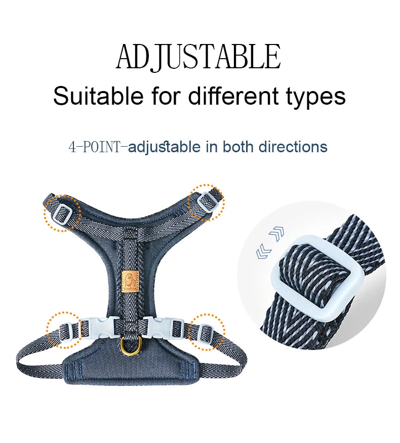 Harnais Tweed Sans Traction pour Chien - Style et Confort
