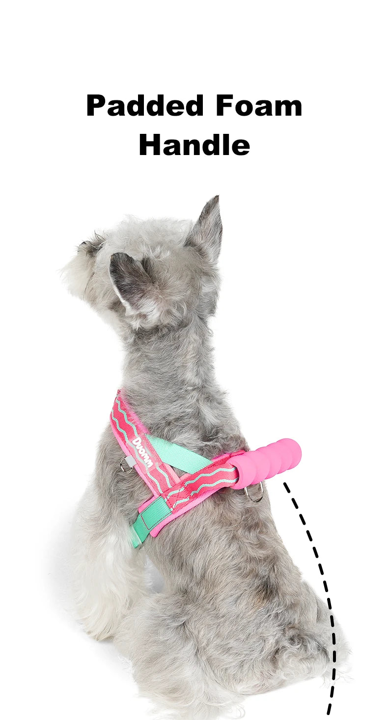 Harnais à Enfiler Rembourré pour Petit Chien - Poignée Douce