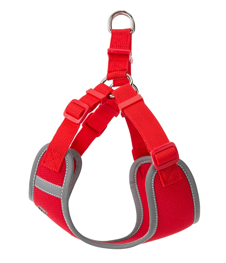Ensemble Harnais et Laisse Réglable pour Chat et Petit Chien