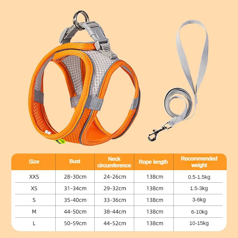 Ensemble Accessoires Réglables pour Chiots et Chats - Bouledogue, Chihuahua