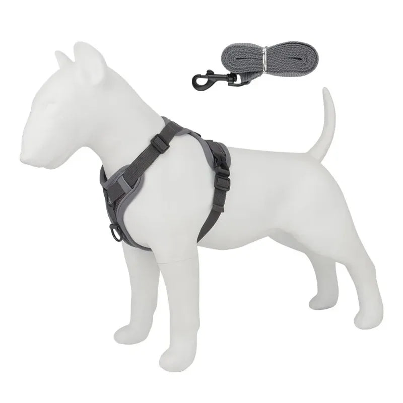 Ensemble Harnais et Laisse Réfléchissants pour Chiot