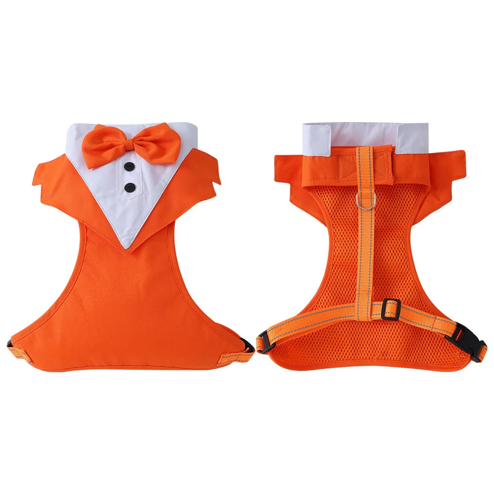 Harnais avec Nœud Papillon pour Petit et Moyen Chien - Anti-Traction
