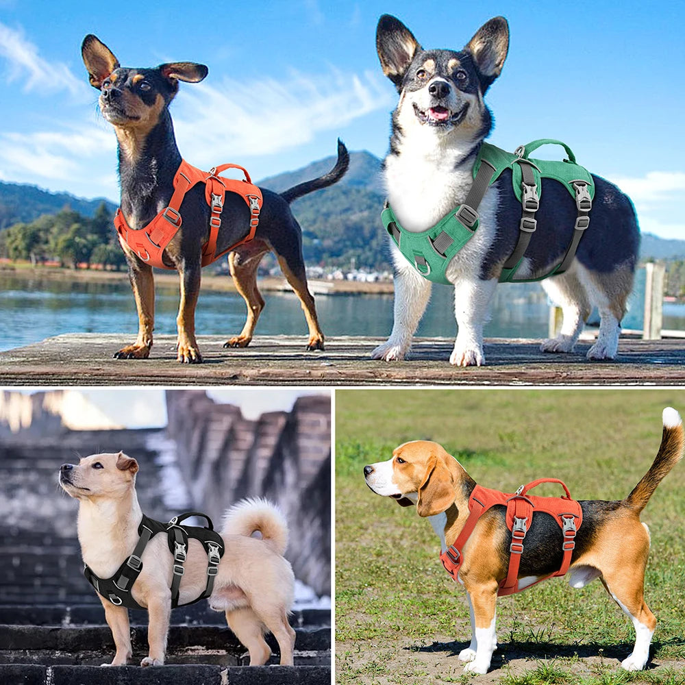 Harnais Anti-Fuite Réfléchissant pour Chien - Poignée Réglable