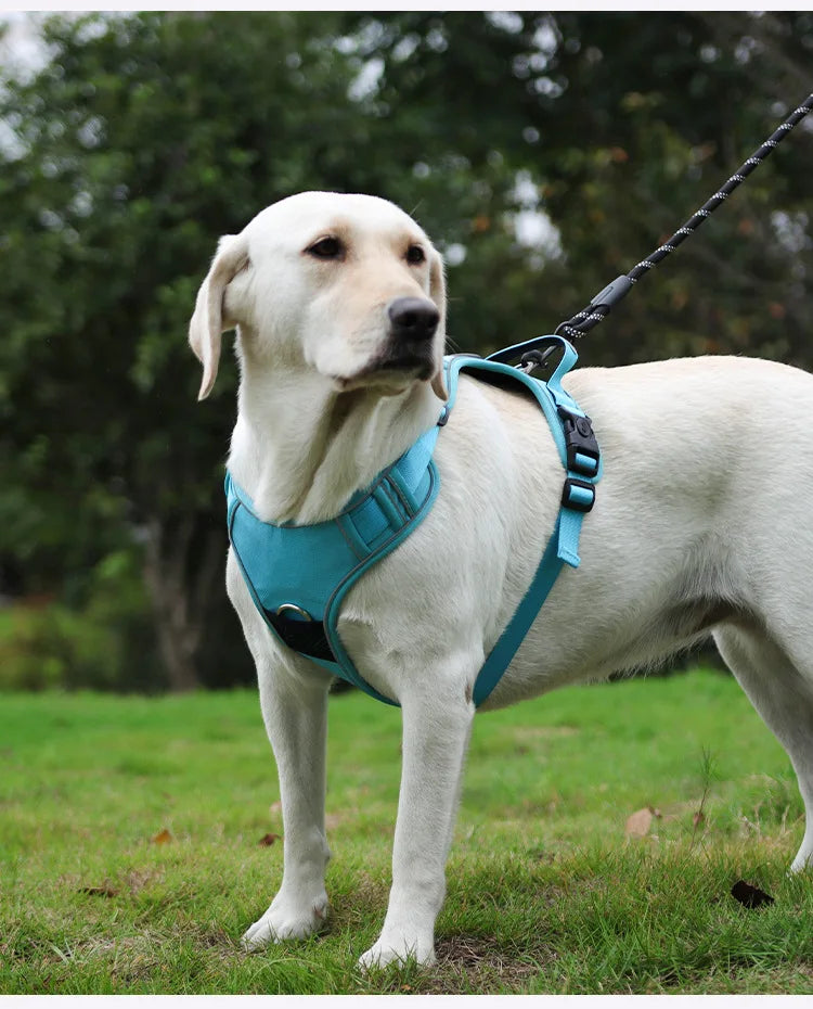 Harnais Compatible AirTag pour Petit Chien - Anti-Perte