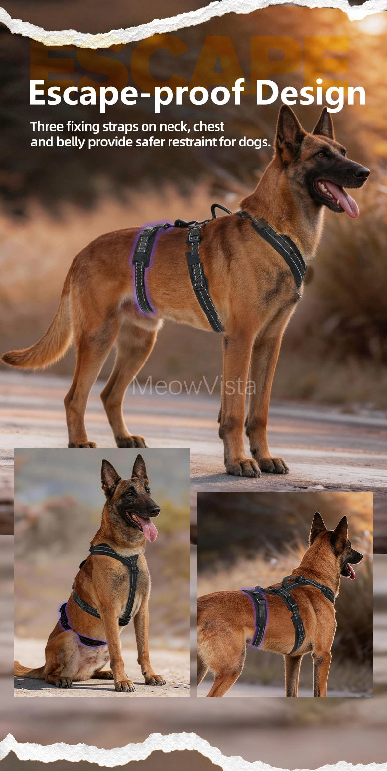 Harnais Robuste Rembourré Anti-Traction pour Chien Moyen/Grand