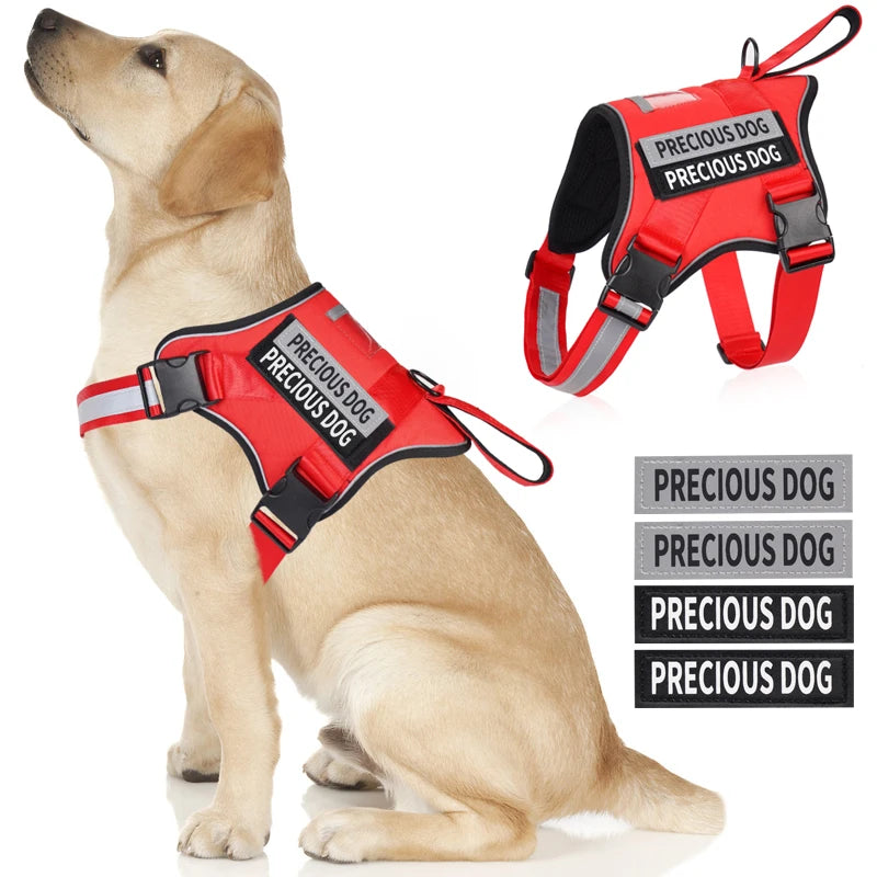 Harnais Réfléchissant pour Chien - Sans Traction, Toutes Tailles
