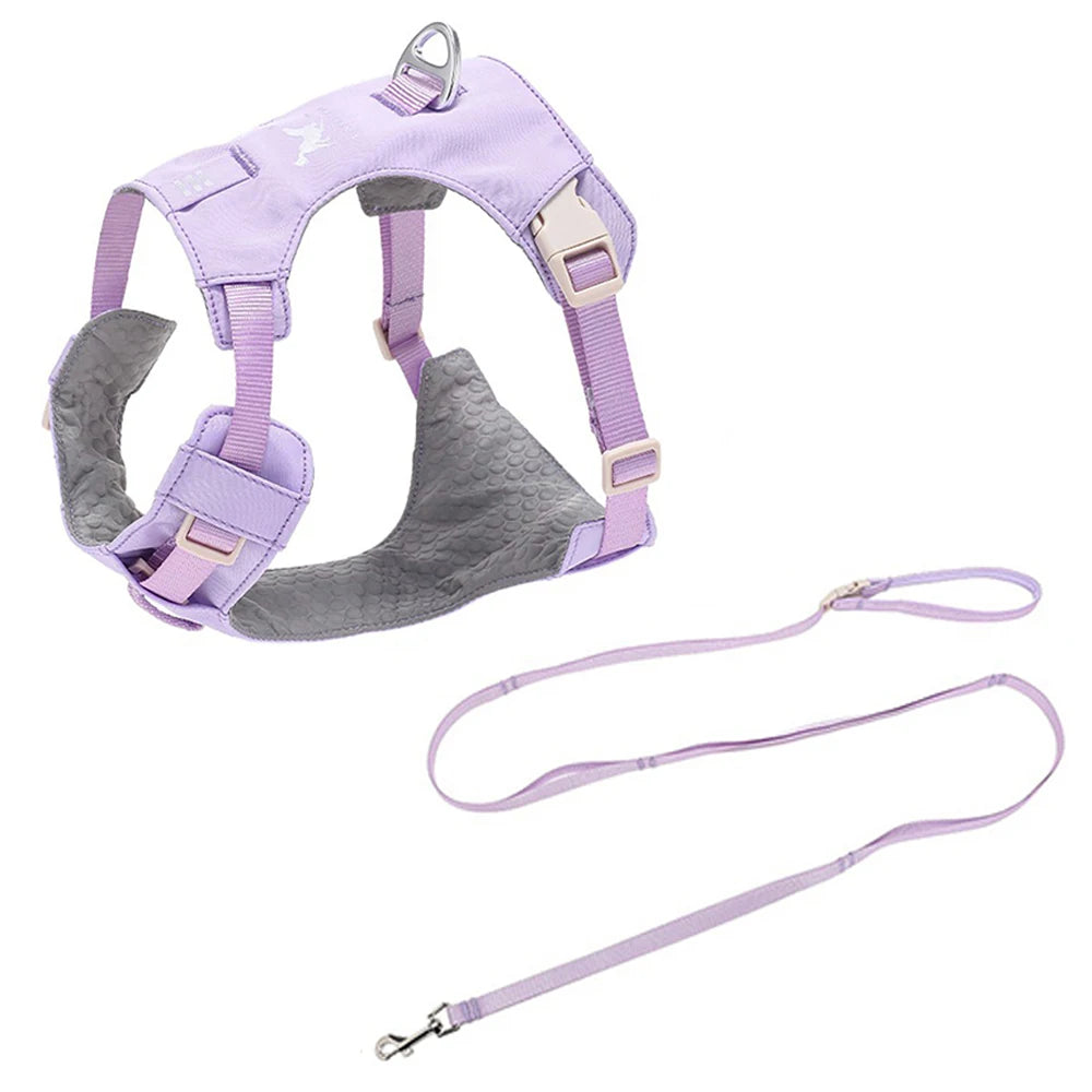 Harnais et Laisse Légers Anti-Traction pour Chien - Toutes Tailles