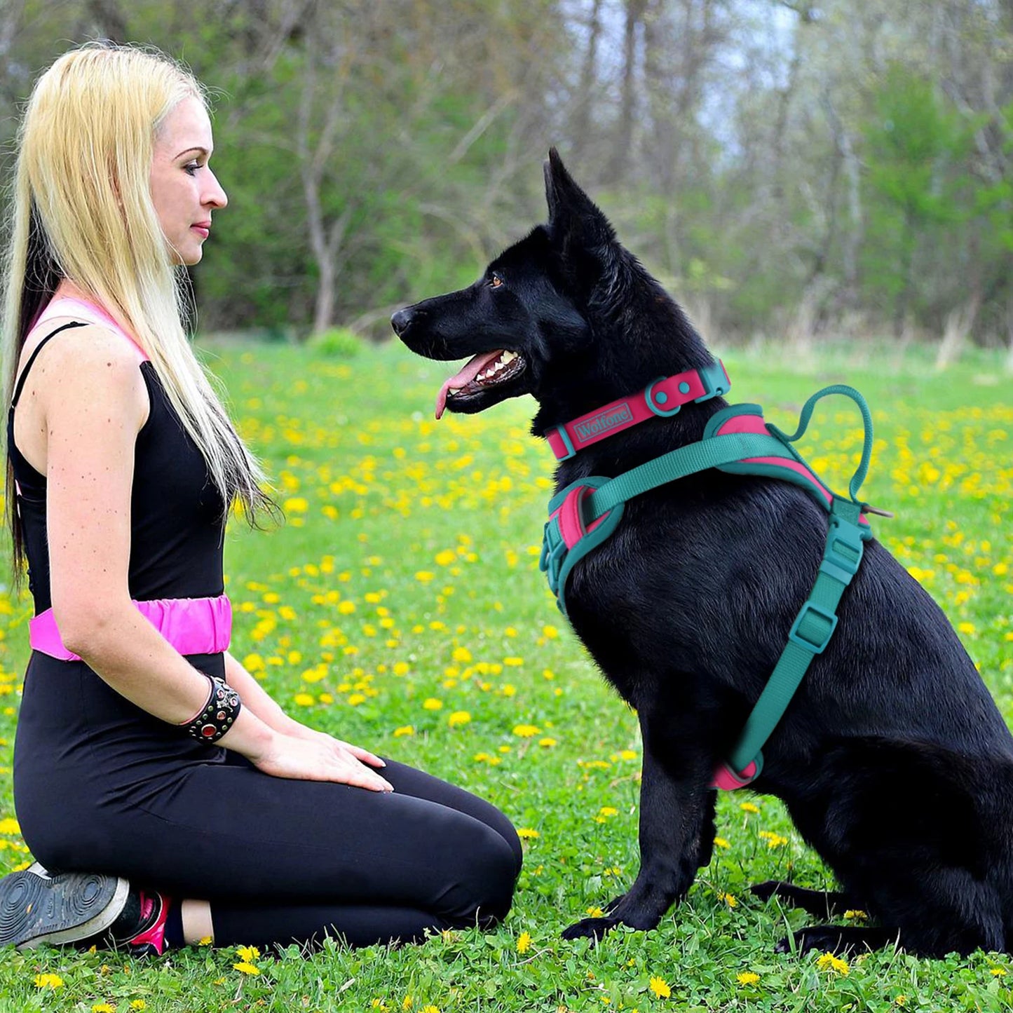 Harnais Personnalisable Anti-Traction pour Chien - Contrasté