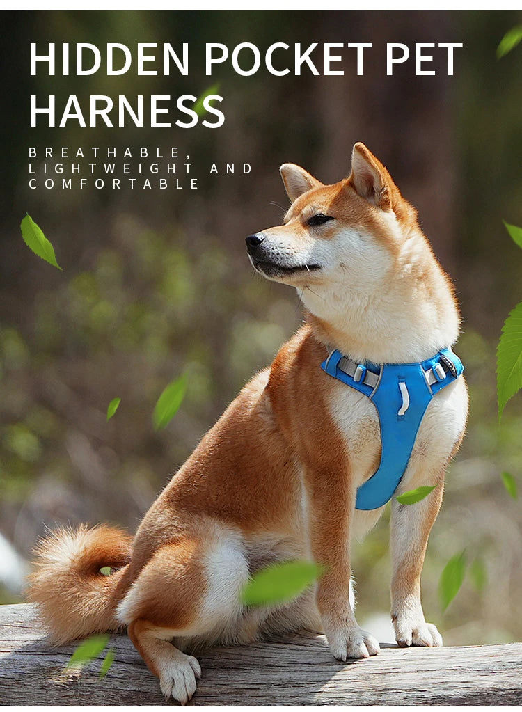 Harnais Sangle Nylon Réfléchissante pour Petit et Moyen Chien