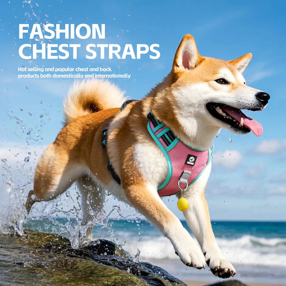 Harnais Oxford Anti-Évasion Réfléchissant pour Grand Chien - avec Collier