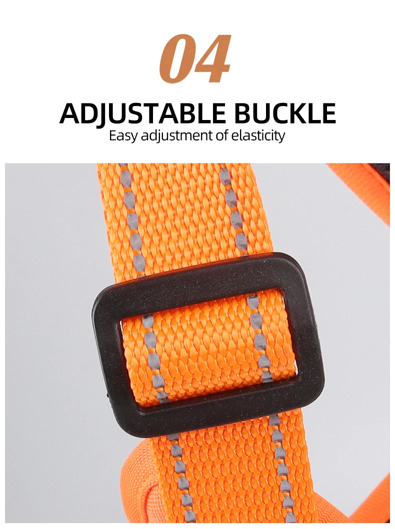 Harnais Multifonction en Nylon pour Chien - Toutes Tailles