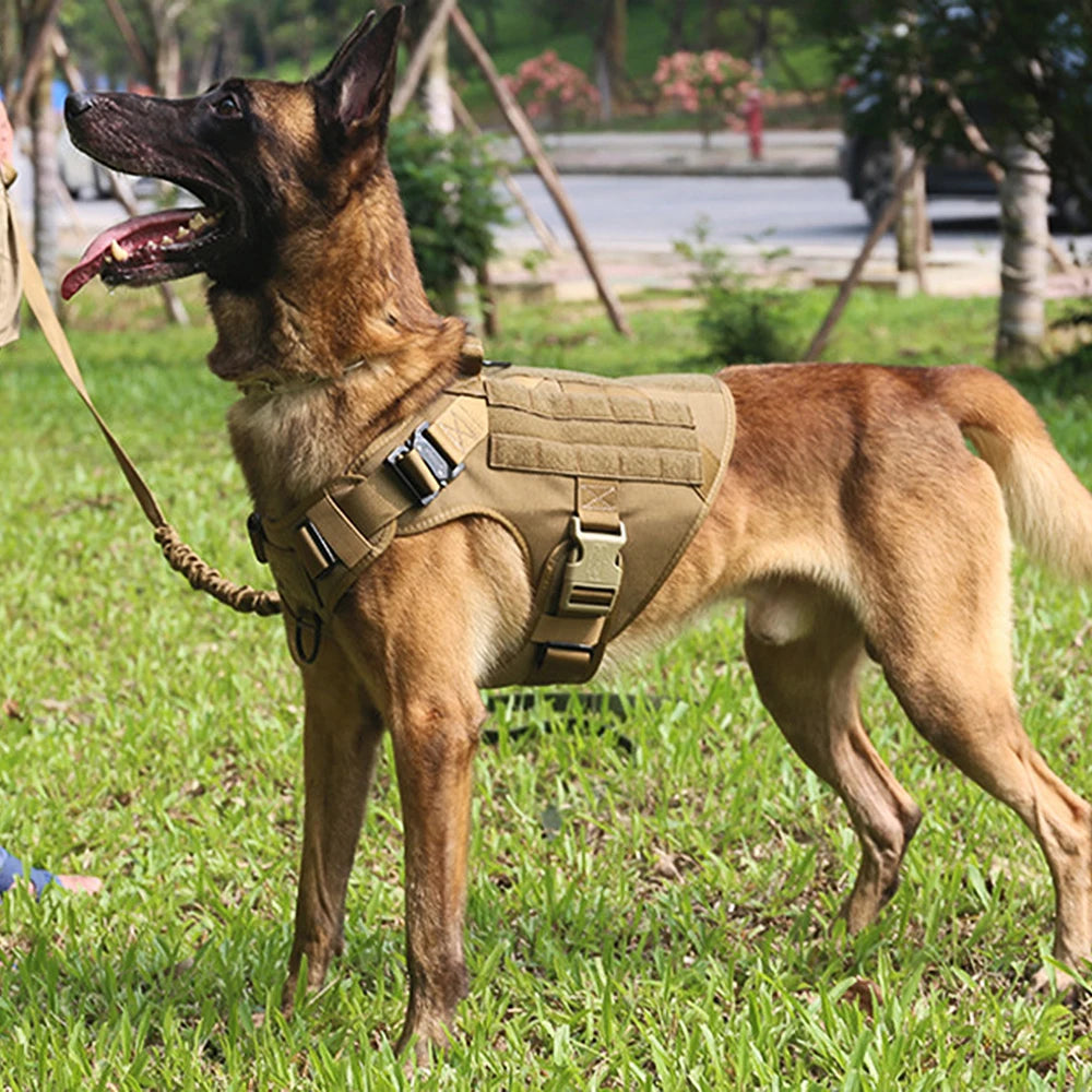 Harnais d'Entraînement Militaire pour Berger Allemand et Malinois
