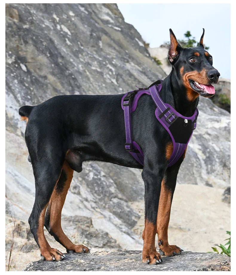 Harnais Multifonction en Nylon pour Chien - Toutes Tailles