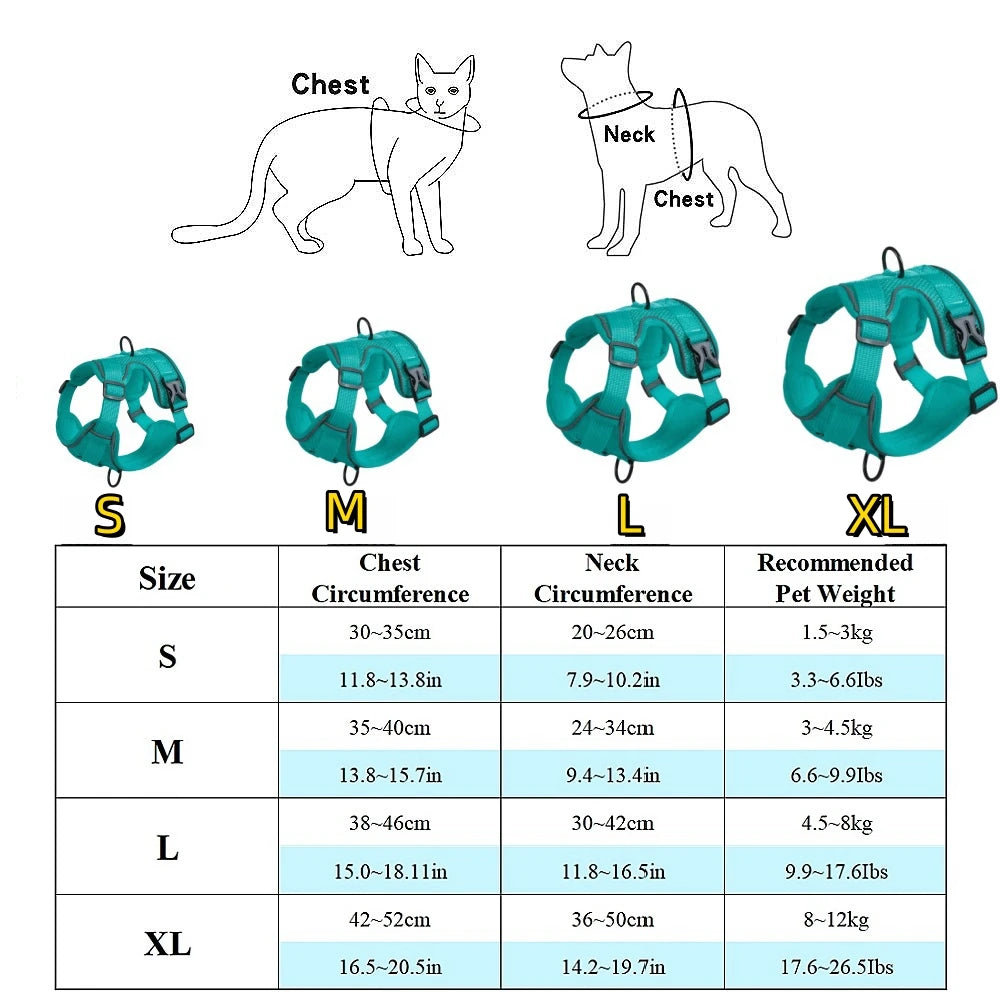Ensemble Harnais et Laisse pour Petit Chien - Bouledogue, Carlin, Chiot