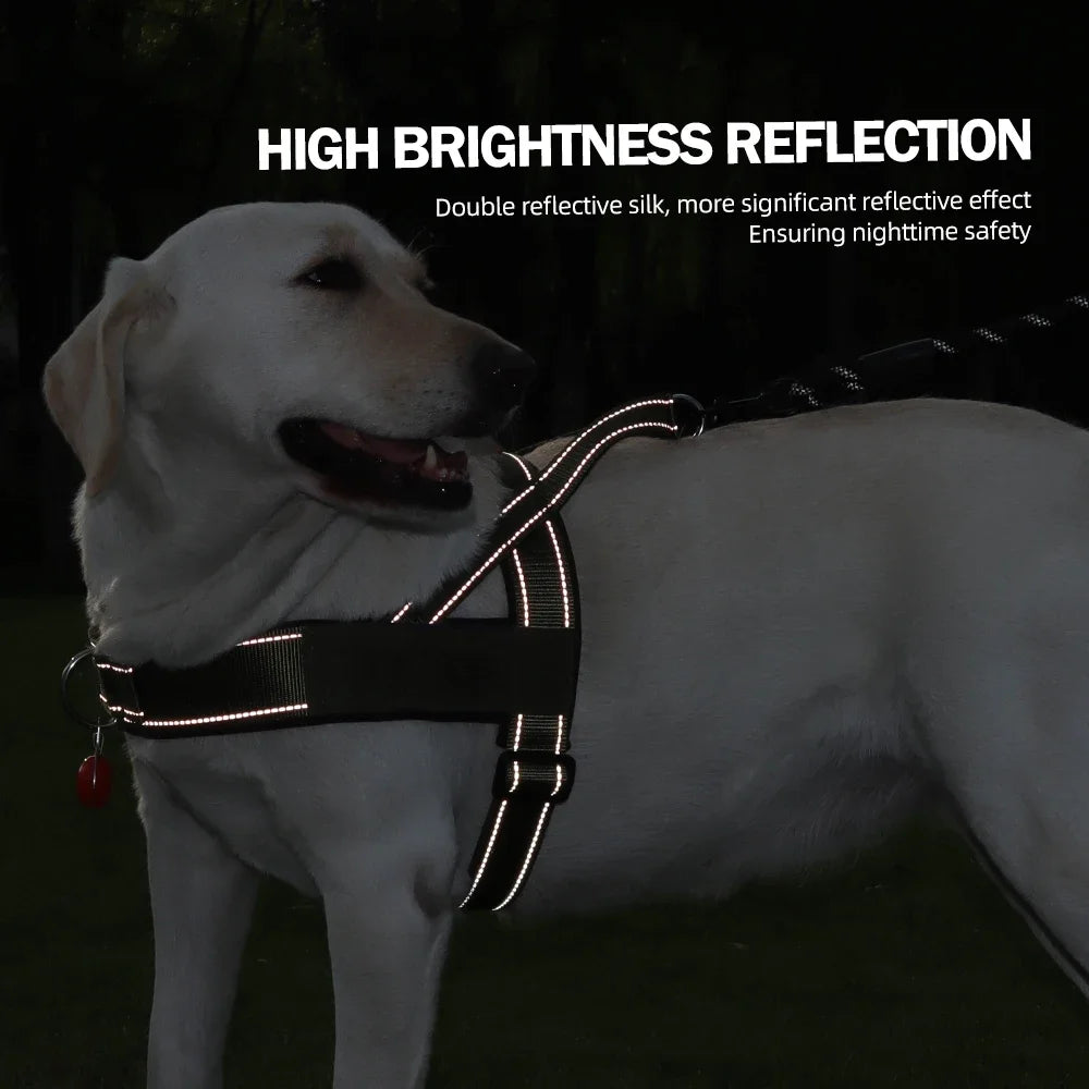 Harnais Gilet de Selle Léger et Réfléchissant pour Chien