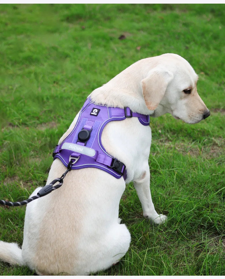 Harnais Compatible AirTag pour Petit Chien - Anti-Perte