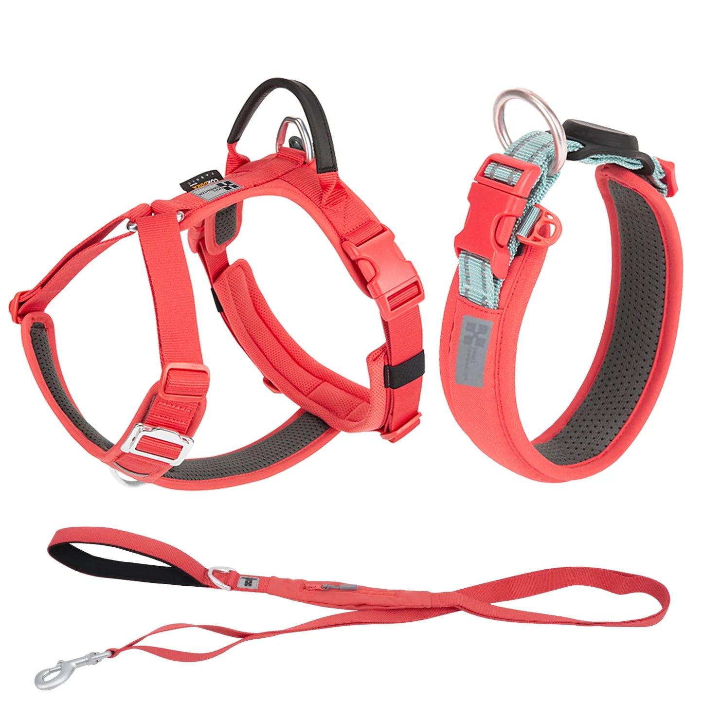Ensemble Harnais et Laisse Anti-Traction pour Grand Chien