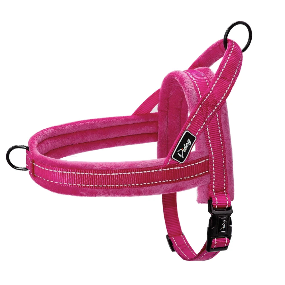 Sangle Nylon Rembourrée pour Chien - Idéal Pitbull et Bulldog