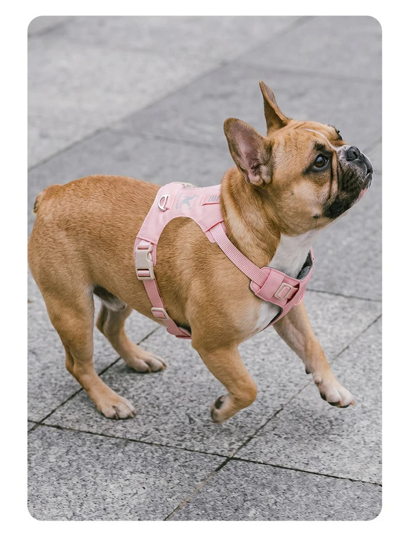 Harnais et Laisse Légers Anti-Traction pour Chien - Toutes Tailles