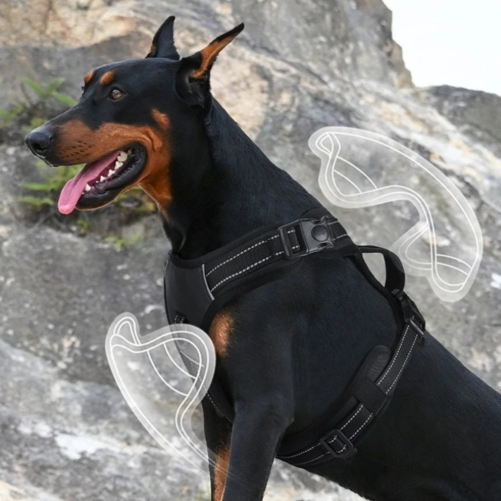 Harnais Anti-Traction Rembourré pour Chien - Poignée, Réfléchissant