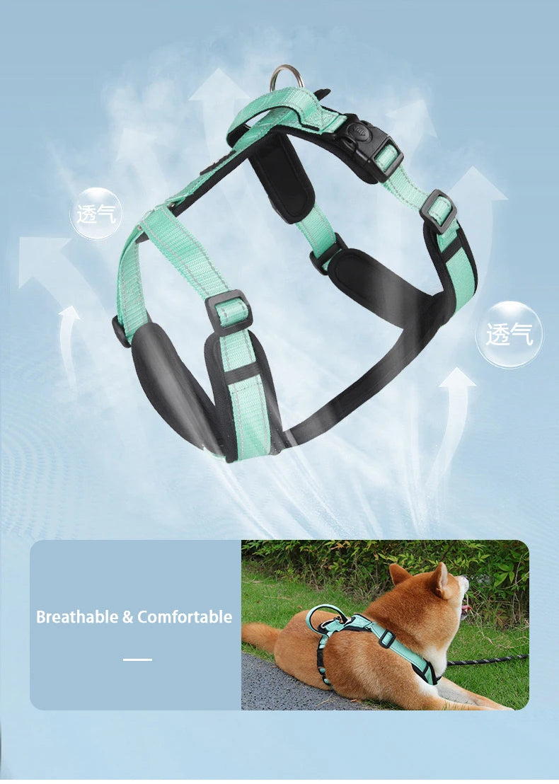 Harnais Gilet Rembourré Sans Traction pour Petit et Moyen Chien - Nouvelle Collection