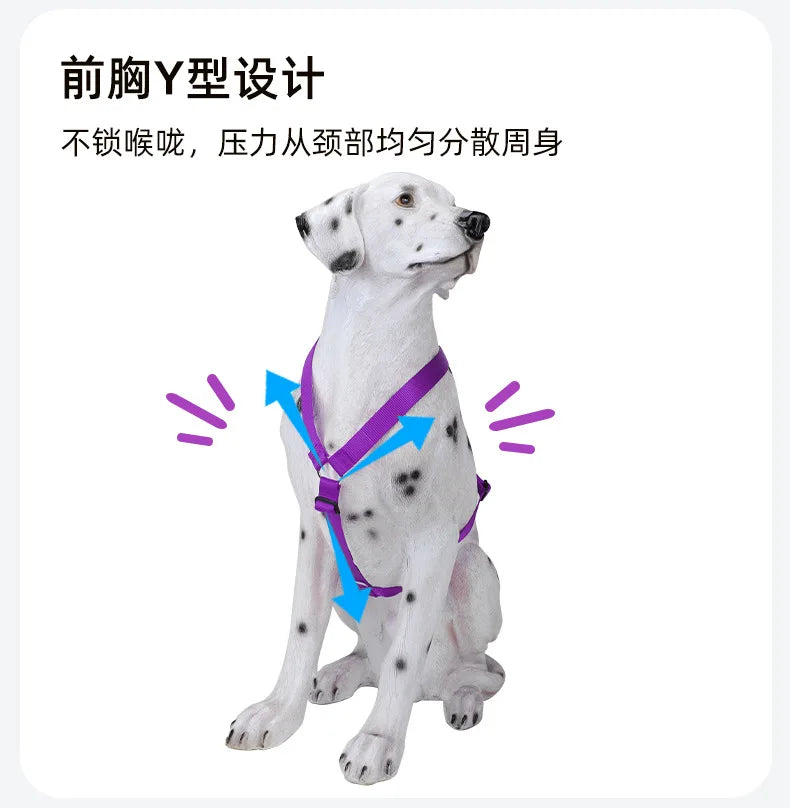 Harnais et Laisse Nylon Résistant pour Grand Chien