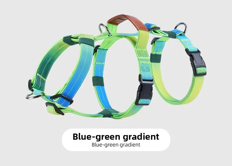 Harnais Brodé Sur Mesure en Nylon Dégradé - Anti-Traction